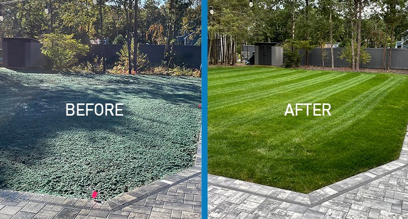 Before and after hydroseeding